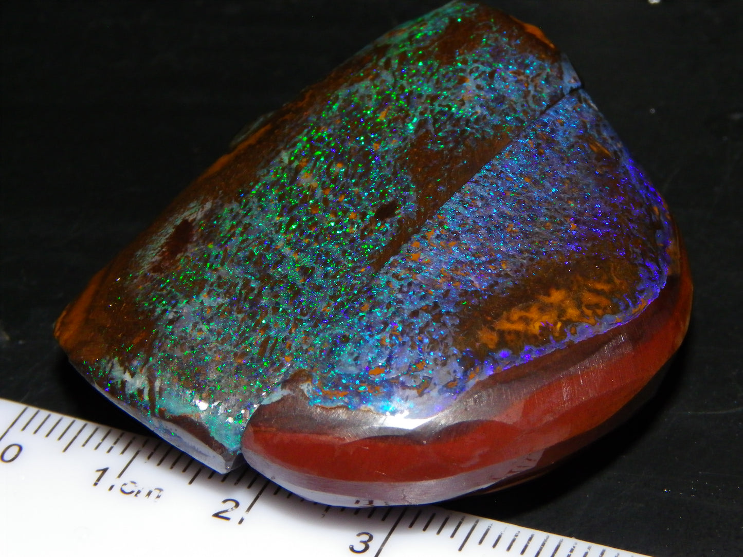 Very Nuce Rubbed Koroit Opal Sliced Nut Specimen Pair 267.5cts Blue/Green Pinfires Au