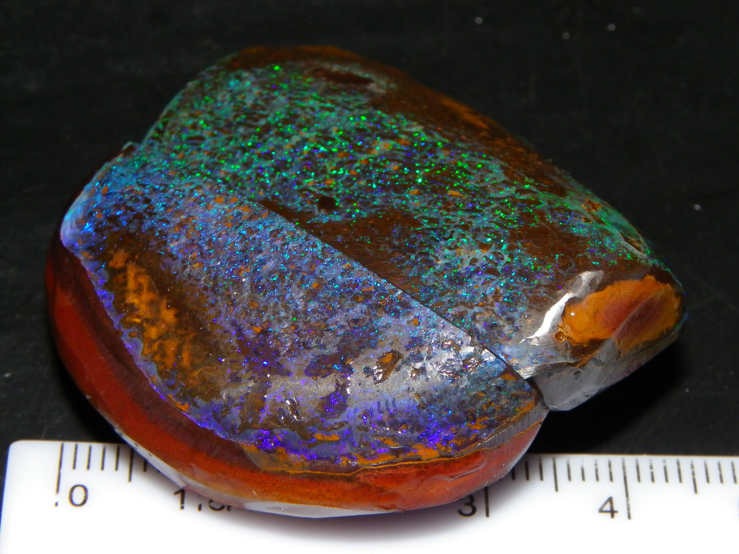 Very Nuce Rubbed Koroit Opal Sliced Nut Specimen Pair 267.5cts Blue/Green Pinfires Au