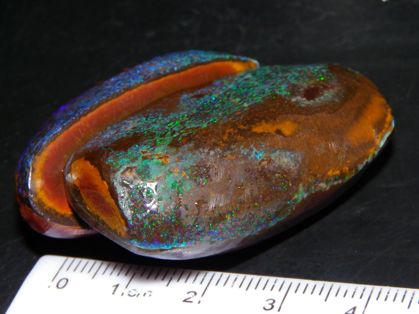 Very Nuce Rubbed Koroit Opal Sliced Nut Specimen Pair 267.5cts Blue/Green Pinfires Au