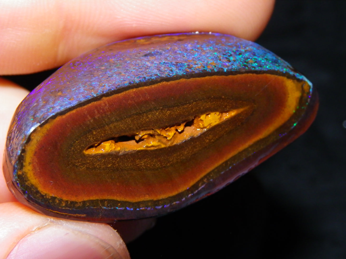 Very Nuce Rubbed Koroit Opal Sliced Nut Specimen Pair 267.5cts Blue/Green Pinfires Au