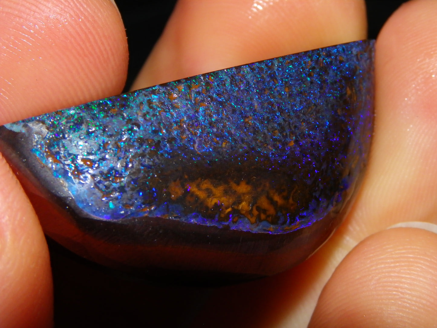 Very Nuce Rubbed Koroit Opal Sliced Nut Specimen Pair 267.5cts Blue/Green Pinfires Au