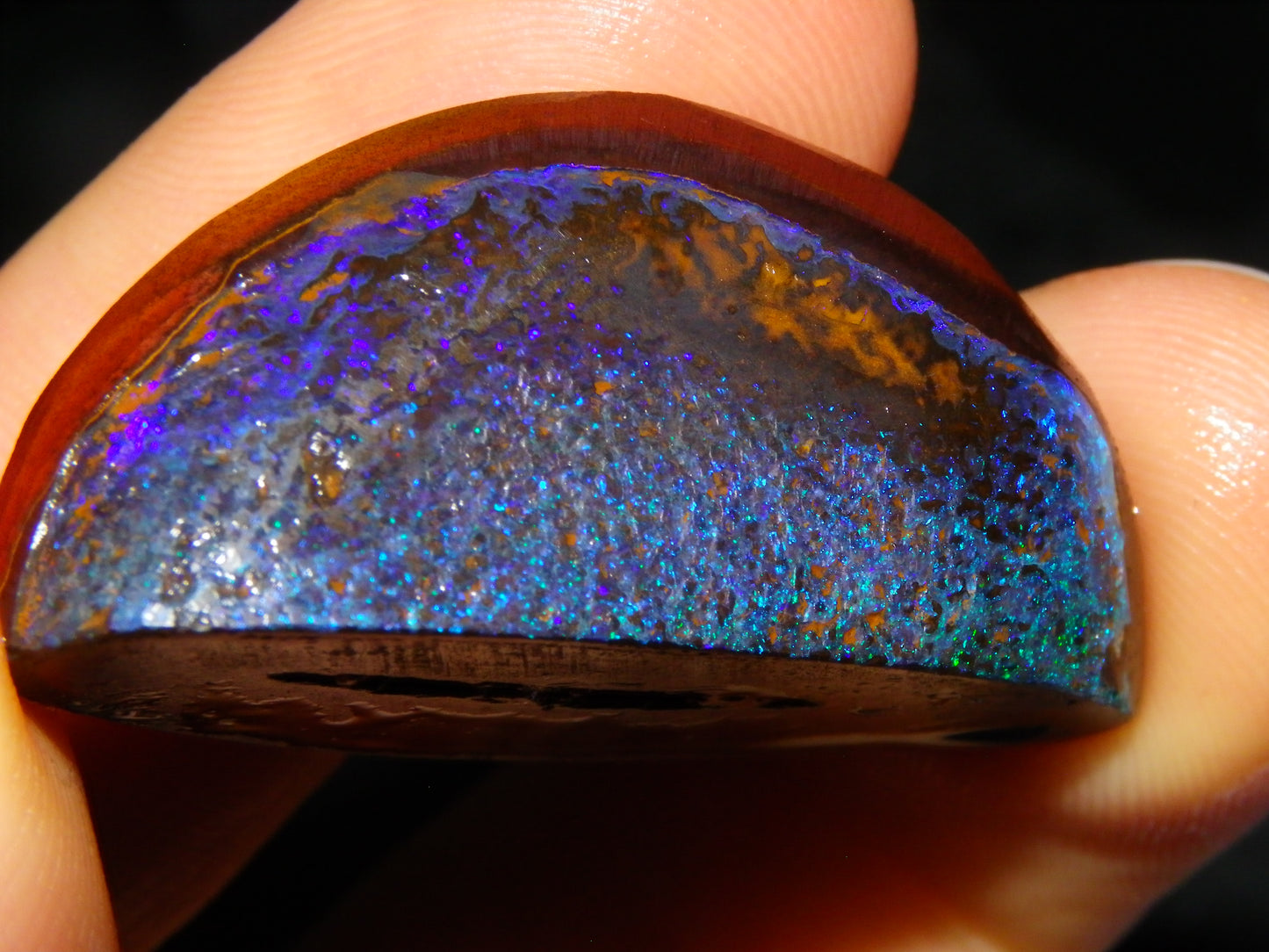 Very Nuce Rubbed Koroit Opal Sliced Nut Specimen Pair 267.5cts Blue/Green Pinfires Au