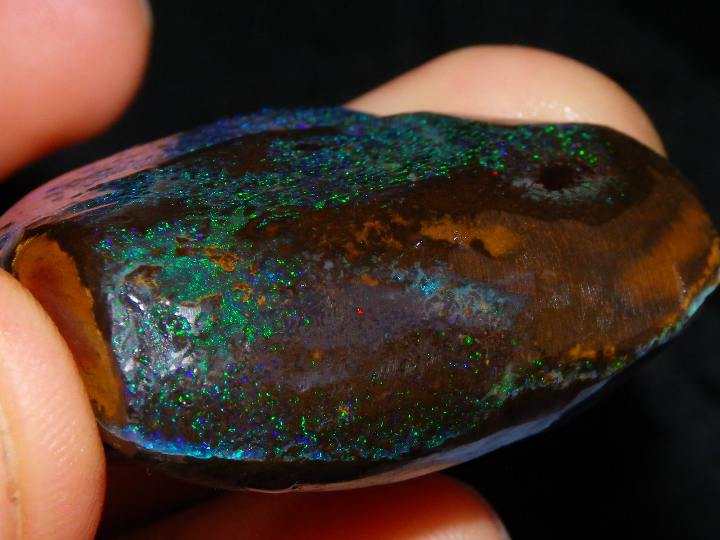 Very Nuce Rubbed Koroit Opal Sliced Nut Specimen Pair 267.5cts Blue/Green Pinfires Au