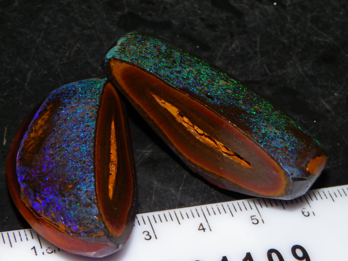 Very Nuce Rubbed Koroit Opal Sliced Nut Specimen Pair 267.5cts Blue/Green Pinfires Au