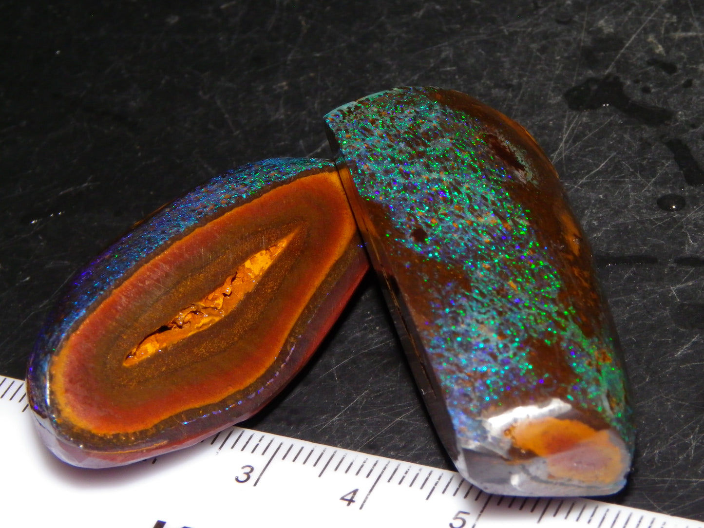 Very Nuce Rubbed Koroit Opal Sliced Nut Specimen Pair 267.5cts Blue/Green Pinfires Au