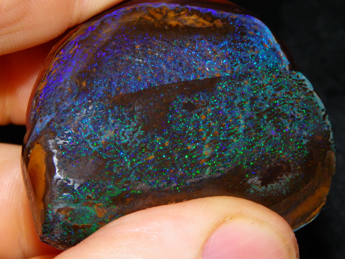Very Nuce Rubbed Koroit Opal Sliced Nut Specimen Pair 267.5cts Blue/Green Pinfires Au
