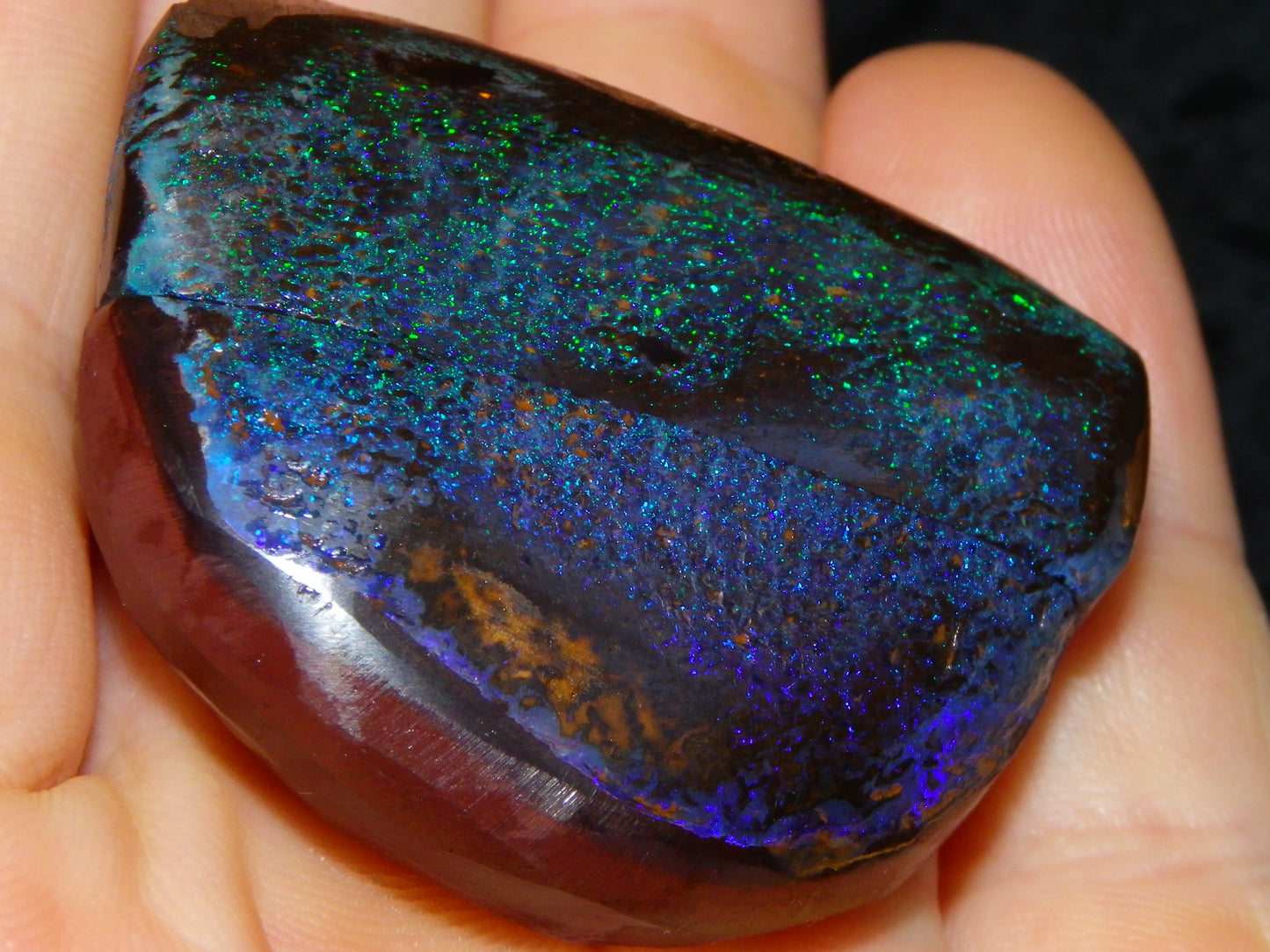 Very Nuce Rubbed Koroit Opal Sliced Nut Specimen Pair 267.5cts Blue/Green Pinfires Au