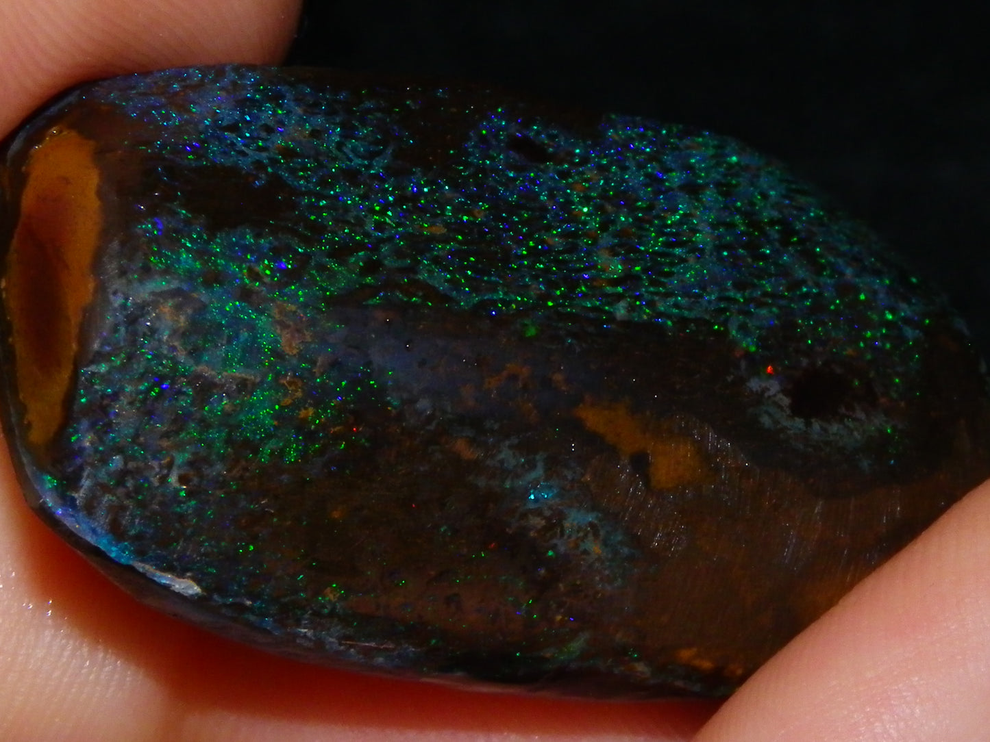 Very Nuce Rubbed Koroit Opal Sliced Nut Specimen Pair 267.5cts Blue/Green Pinfires Au