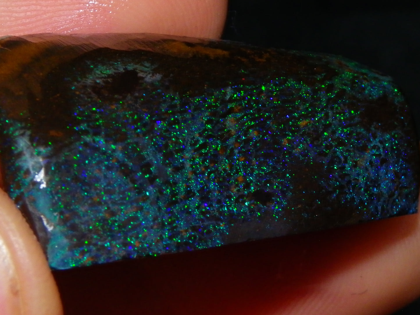 Very Nuce Rubbed Koroit Opal Sliced Nut Specimen Pair 267.5cts Blue/Green Pinfires Au