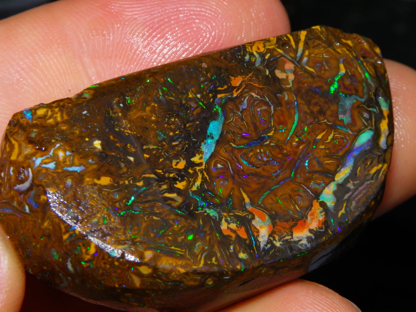 Nice Quality Rough Koroit Opal Preform 191cts Blue/Green Fires/Nut/Pattern Qld Australia
