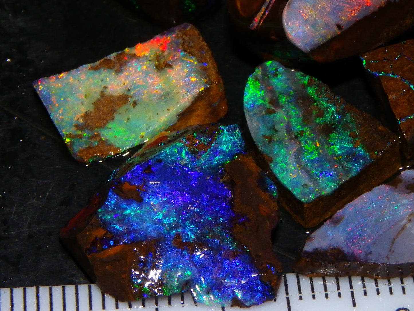 Nice Boulder Opal Rub/Rough Parcel 78cts Multicolour Fires/Patterns Queensland Australia