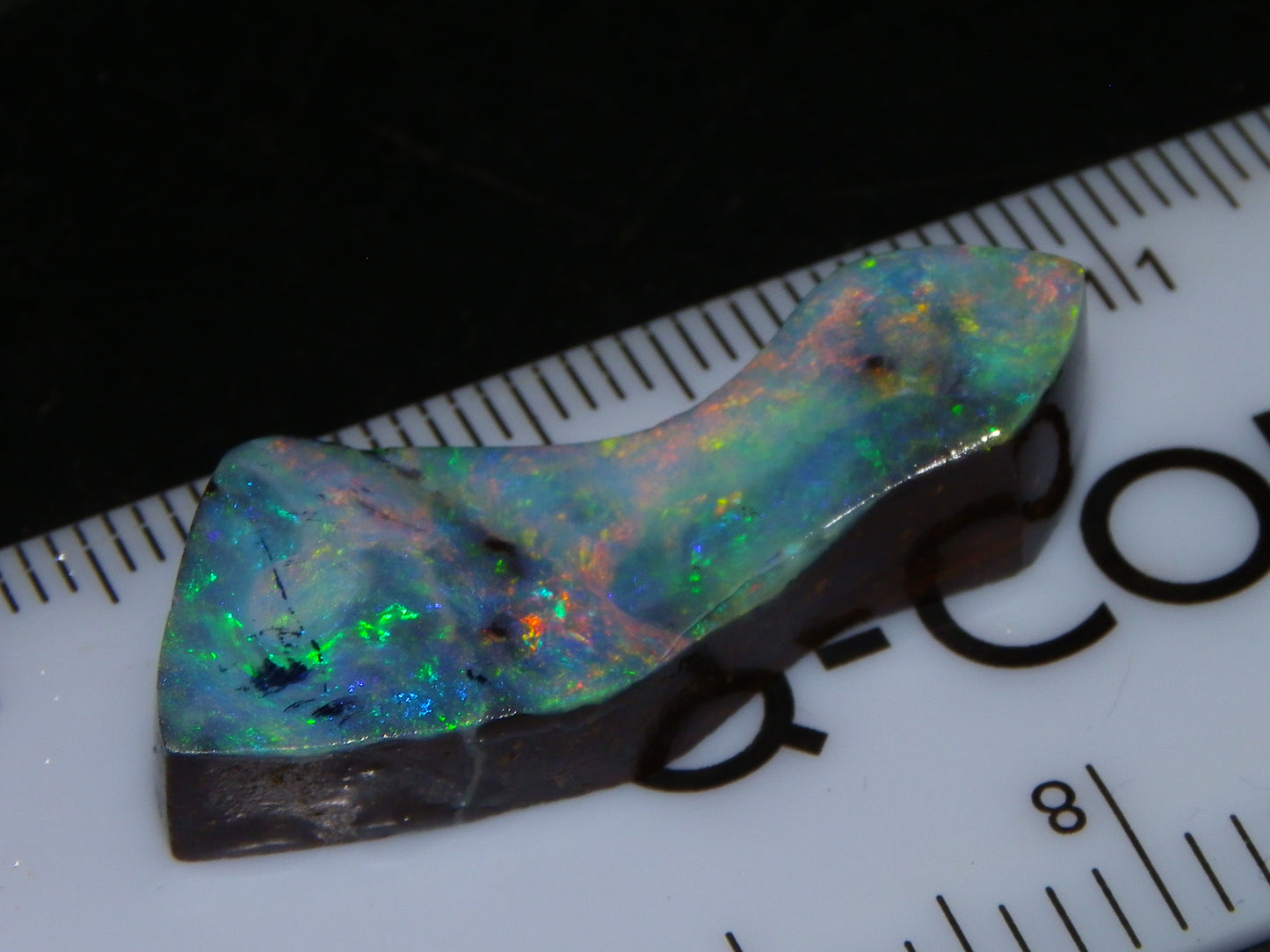 Nice Qld Boulder Opal Rub/Freeform 22.52cts Nice Fires/Multicolours Unusual Shape