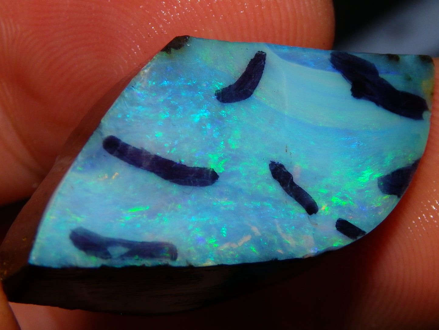 2 Nice Rough/Rubbed Boulder Opals 90.5cts Queensland Australia Green/Blues