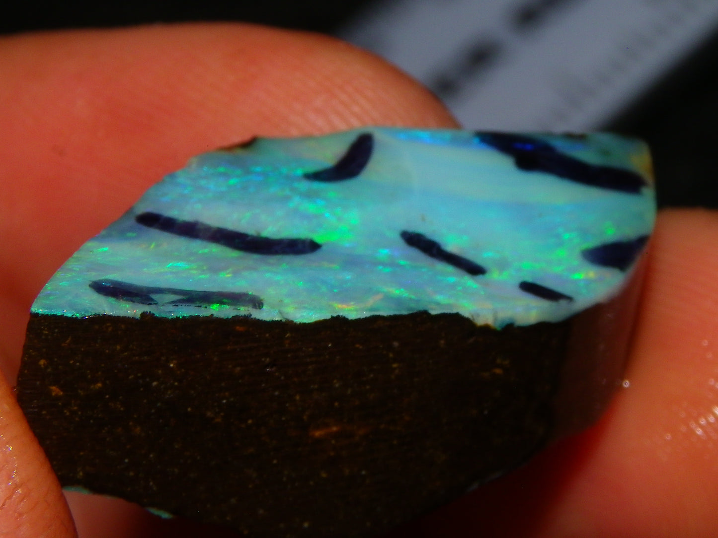 2 Nice Rough/Rubbed Boulder Opals 90.5cts Queensland Australia Green/Blues