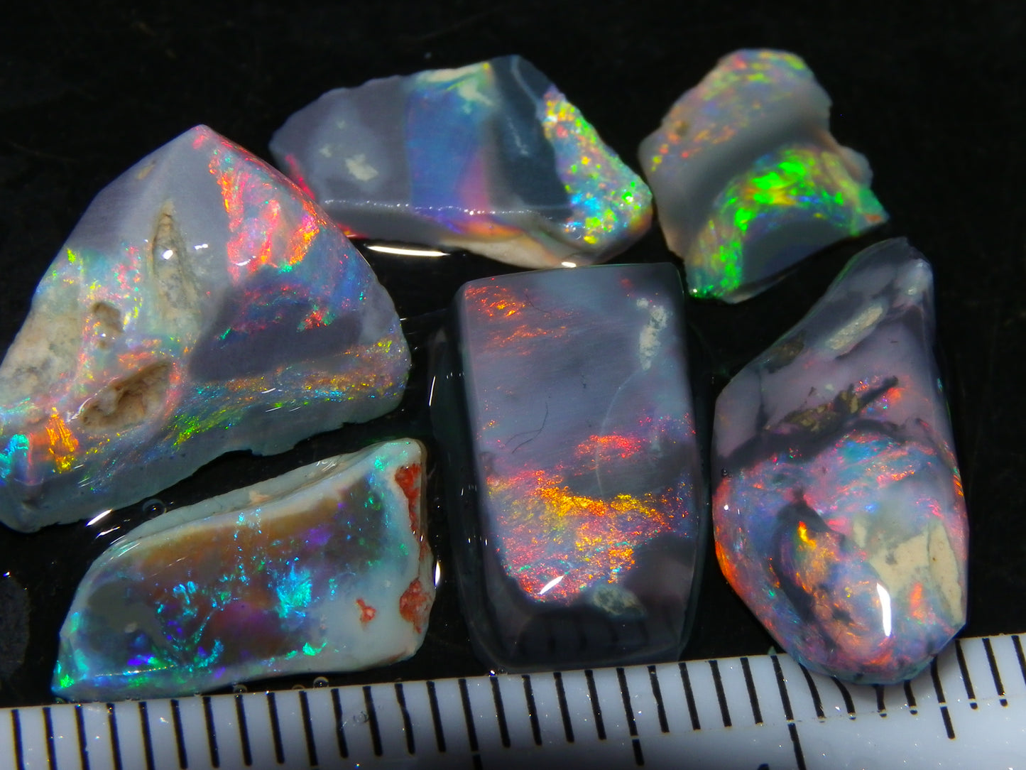 Nice Quality Rubbed Lightning Ridge Opal Parcel 18.04cts Dark Base Reds/Greens
