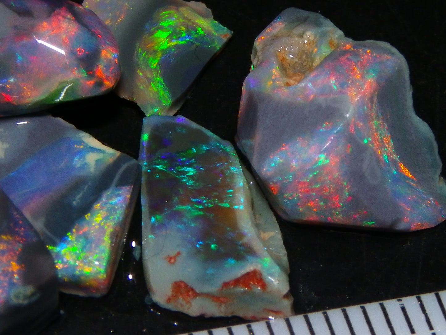 Nice Quality Rubbed Lightning Ridge Opal Parcel 18.04cts Dark Base Reds/Greens