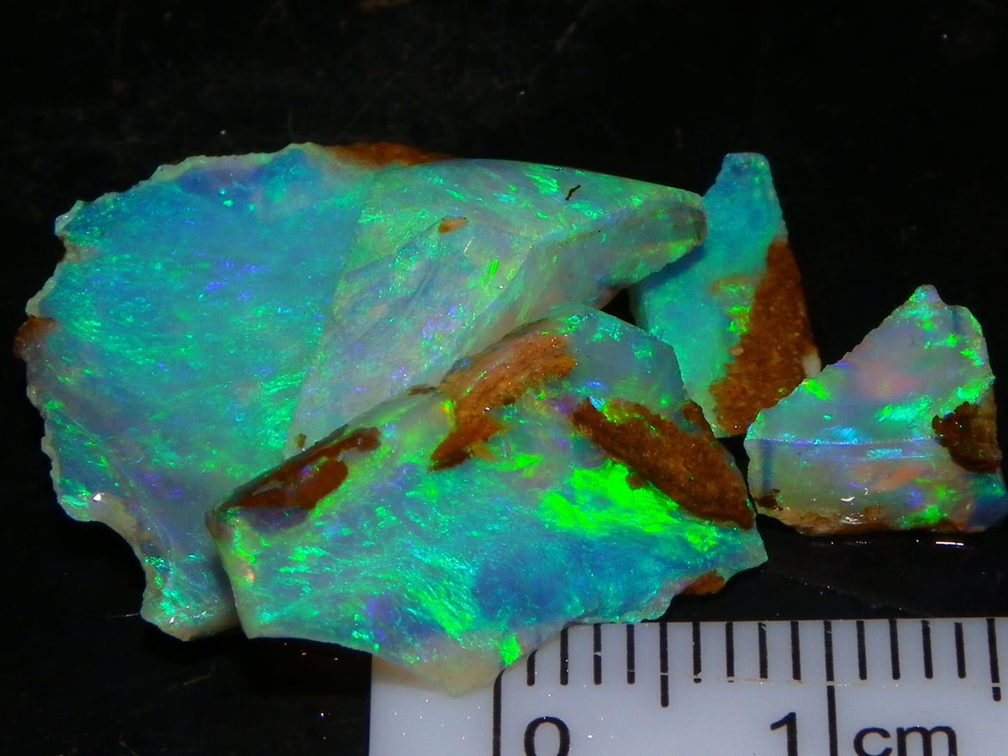 Nice Rough/Sliced Crystal Opal 15.08cts Koroit Queensland Australia Blue/Greens