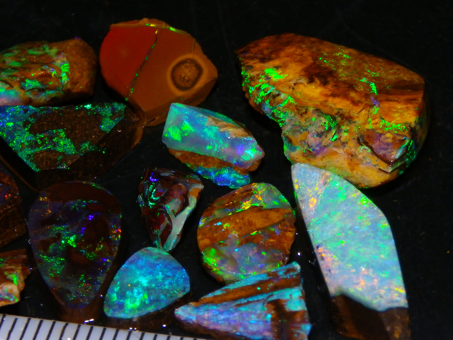 Nice Quality Boulder Opal Rubs/Preforms 33cts Queensland Australia Multicolours