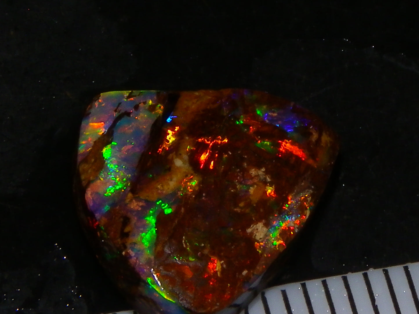 Very Nice Koroit Fossil/Crystal Opal Cab/Preform 4,04cts Bright Orange/Green Fires rare stone