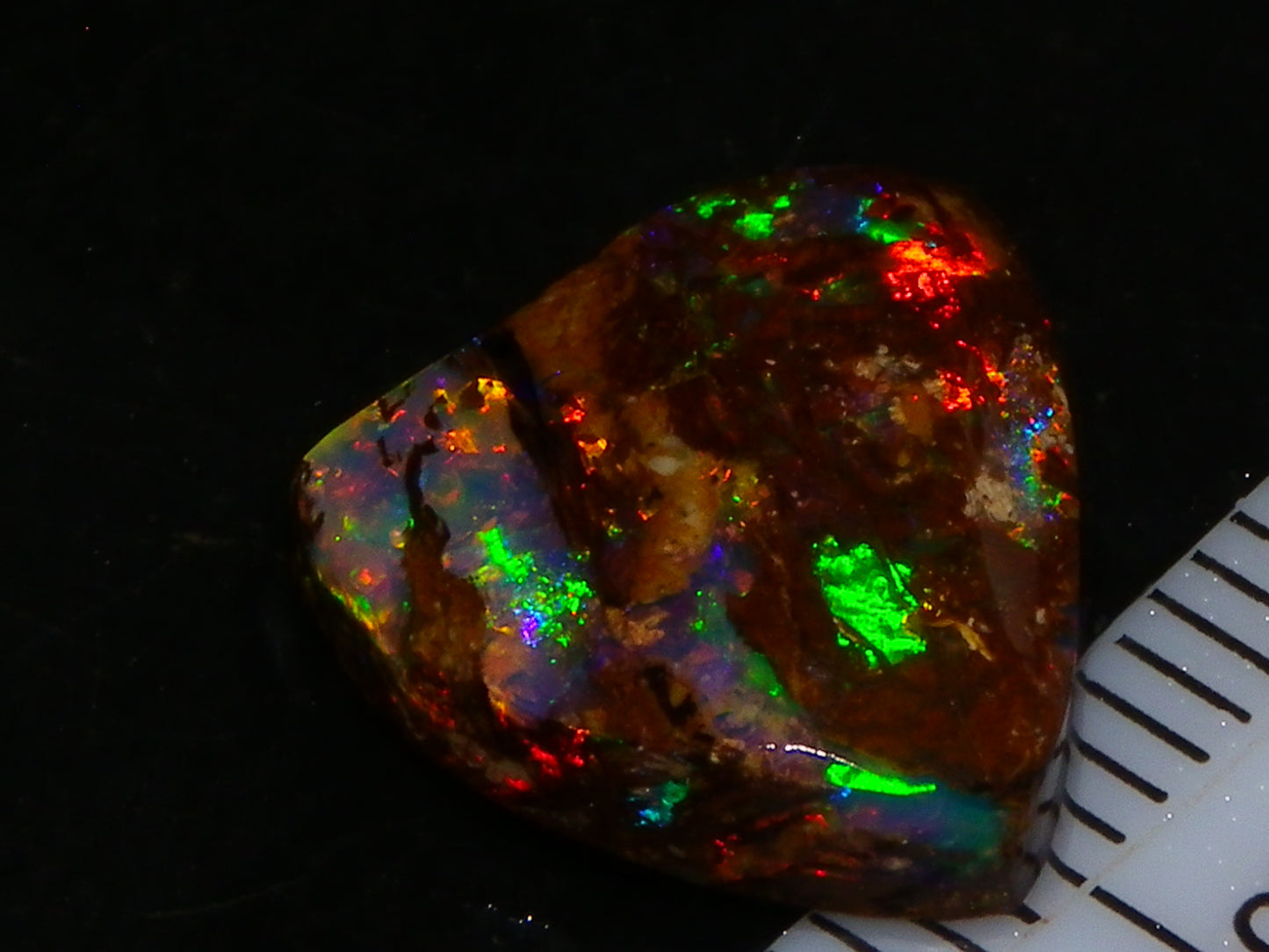 Very Nice Koroit Fossil/Crystal Opal Cab/Preform 4,04cts Bright Orange/Green Fires rare stone