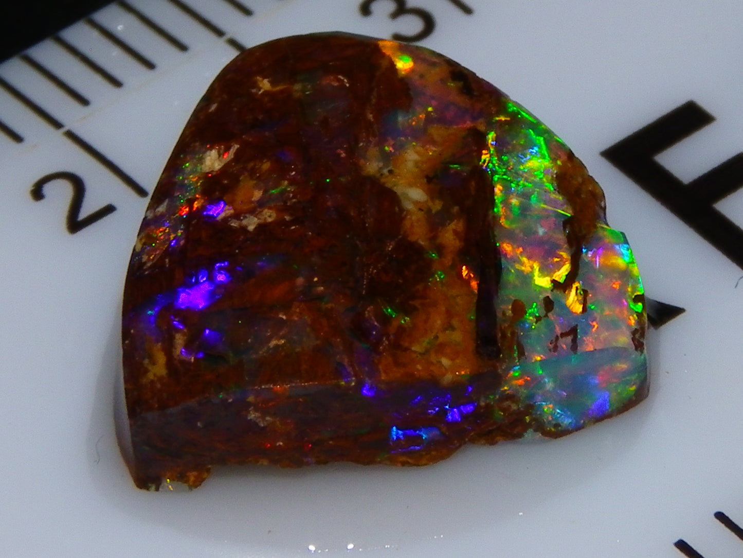 Very Nice Koroit Fossil/Crystal Opal Cab/Preform 4,04cts Bright Orange/Green Fires rare stone