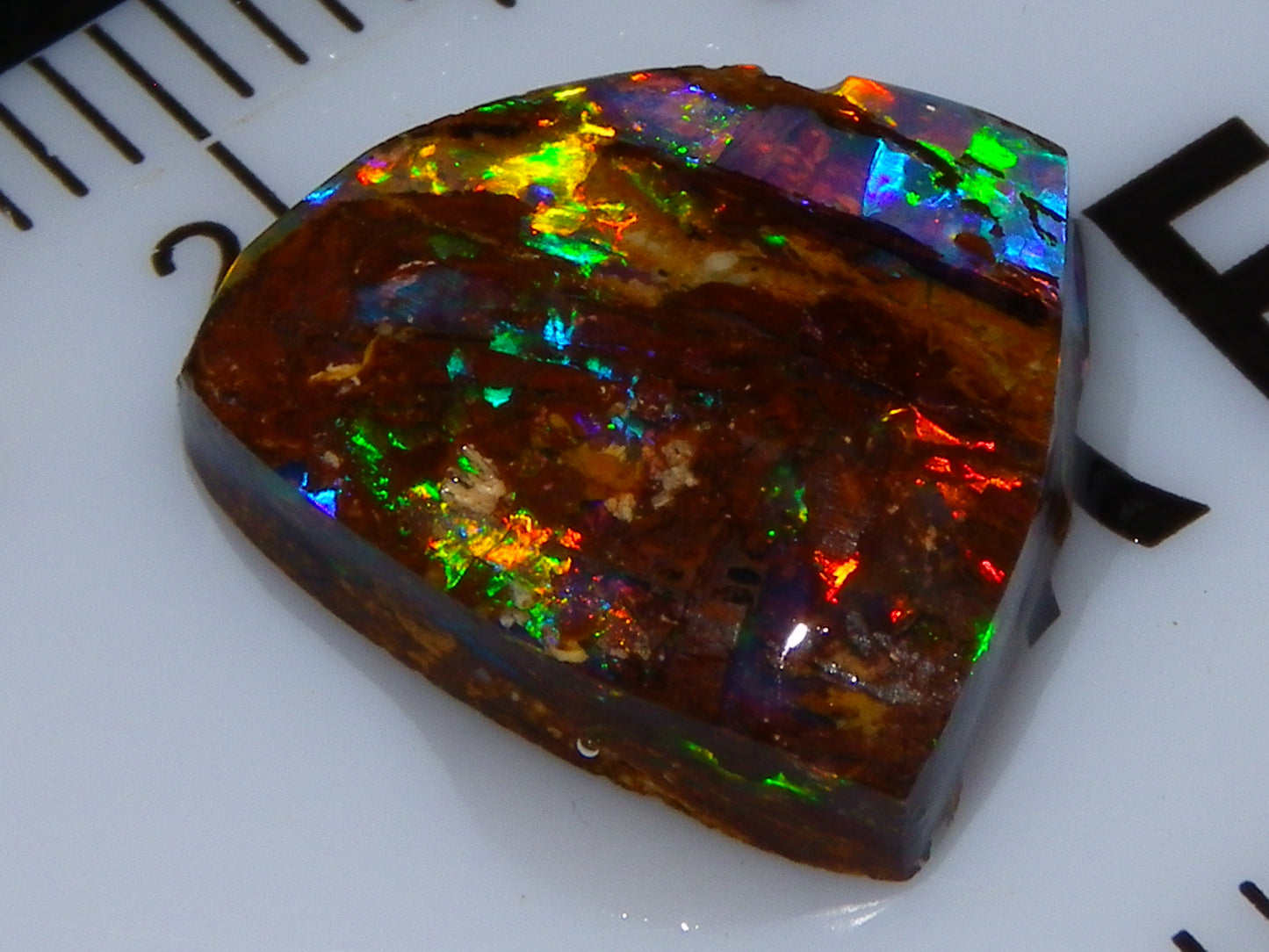 Very Nice Koroit Fossil/Crystal Opal Cab/Preform 4,04cts Bright Orange/Green Fires rare stone