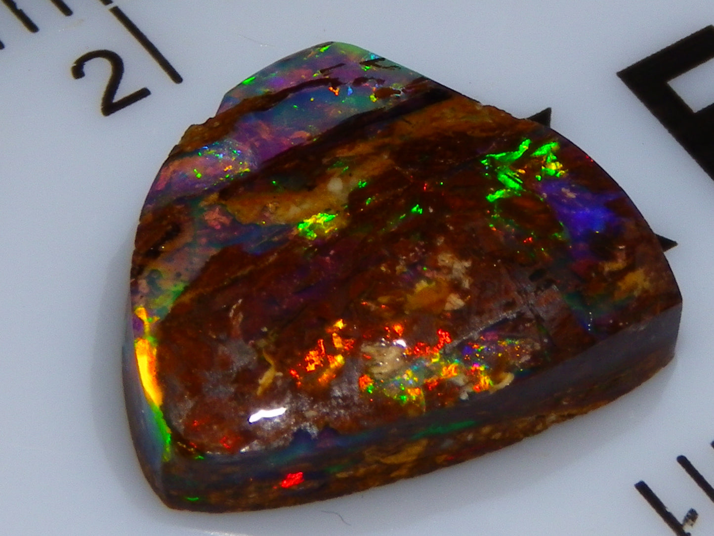 Very Nice Koroit Fossil/Crystal Opal Cab/Preform 4,04cts Bright Orange/Green Fires rare stone