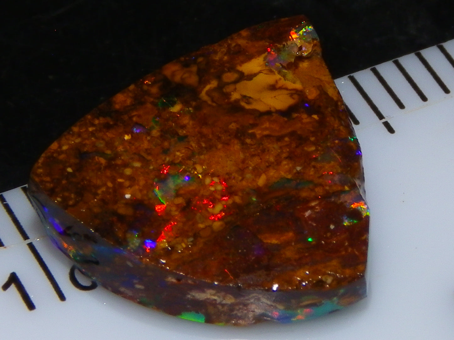 Very Nice Koroit Fossil/Crystal Opal Cab/Preform 4,04cts Bright Orange/Green Fires rare stone