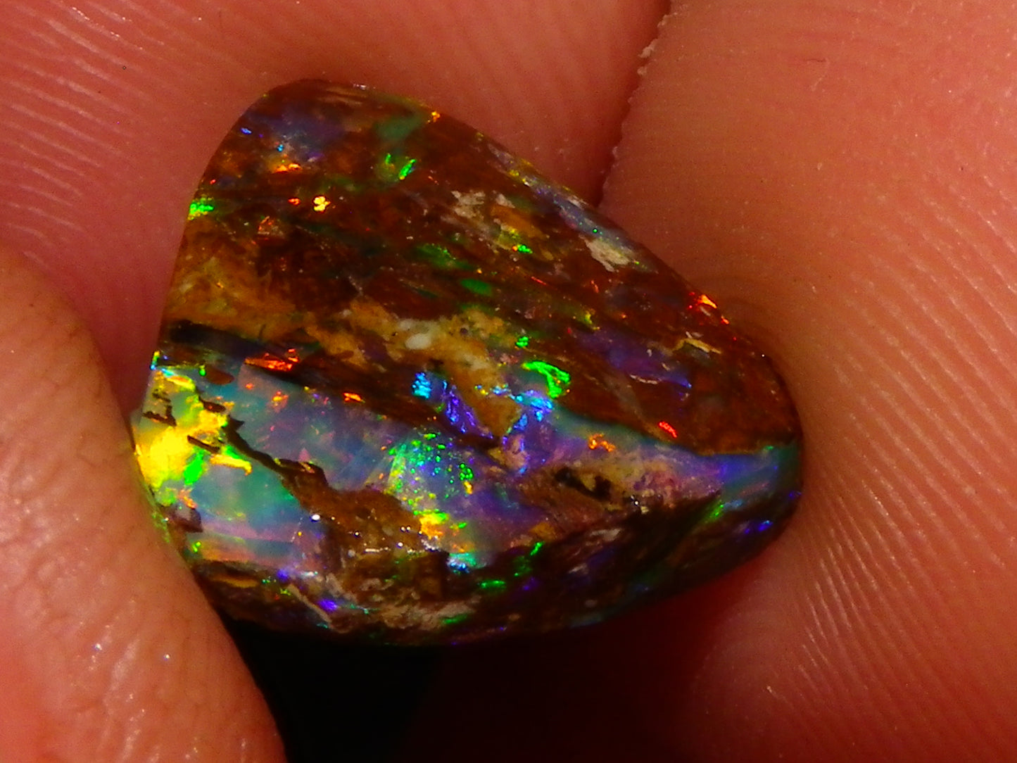 Very Nice Koroit Fossil/Crystal Opal Cab/Preform 4,04cts Bright Orange/Green Fires rare stone