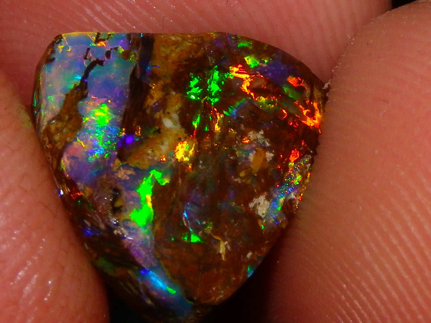 Very Nice Koroit Fossil/Crystal Opal Cab/Preform 4,04cts Bright Orange/Green Fires rare stone