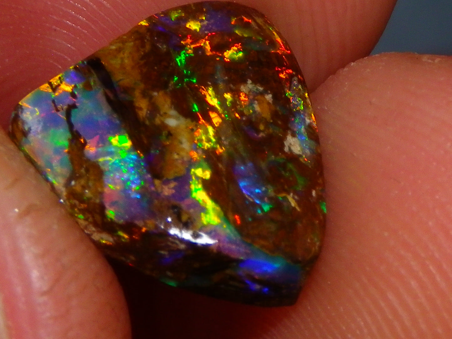 Very Nice Koroit Fossil/Crystal Opal Cab/Preform 4,04cts Bright Orange/Green Fires rare stone
