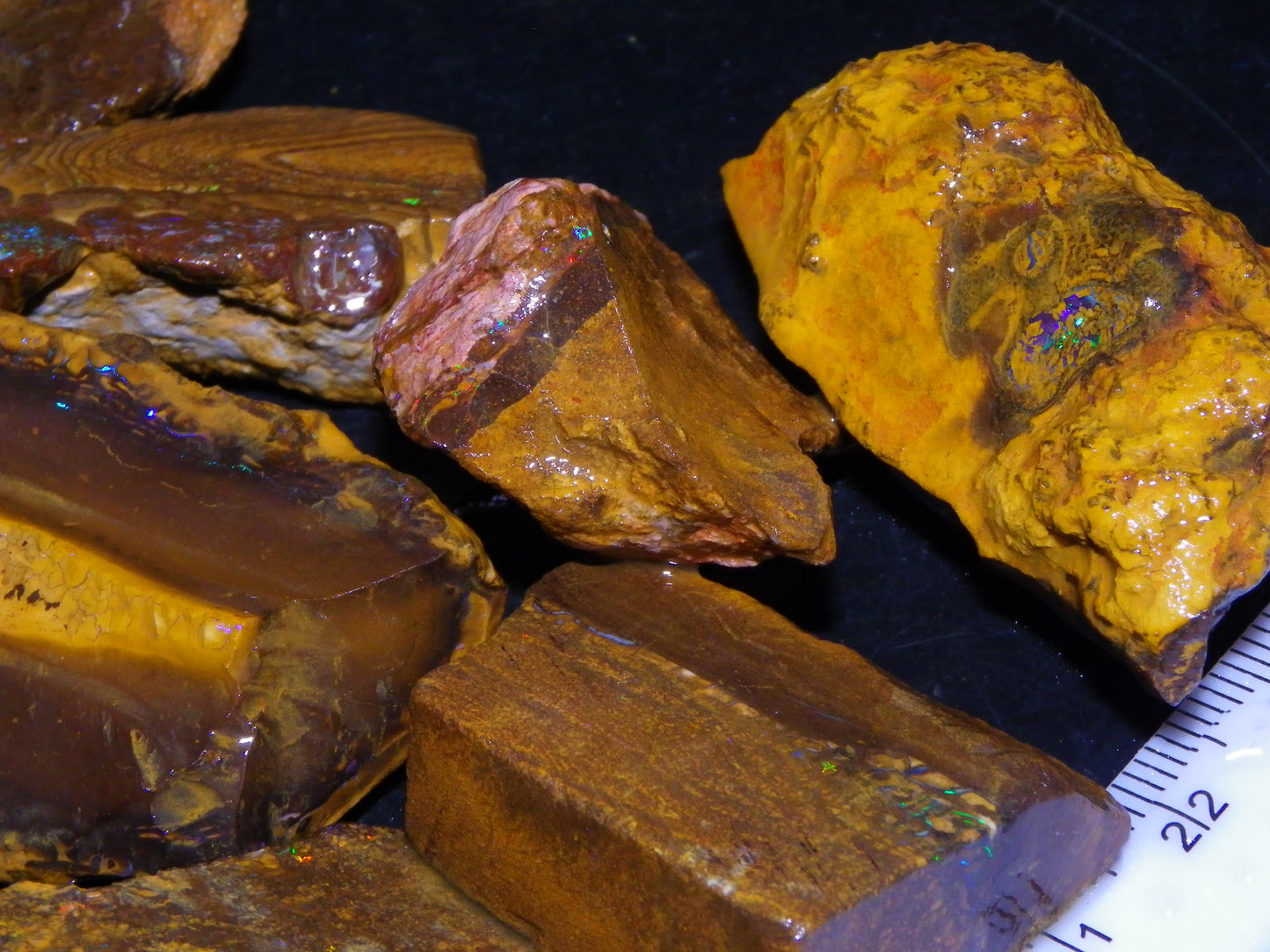 Nice Queensland Rough/Sliced Opal Parcel 1923cts Yowah/Koroit Nuts/Pattern Fires