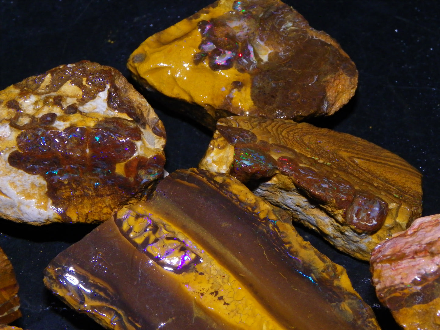 Nice Queensland Rough/Sliced Opal Parcel 1923cts Yowah/Koroit Nuts/Pattern Fires