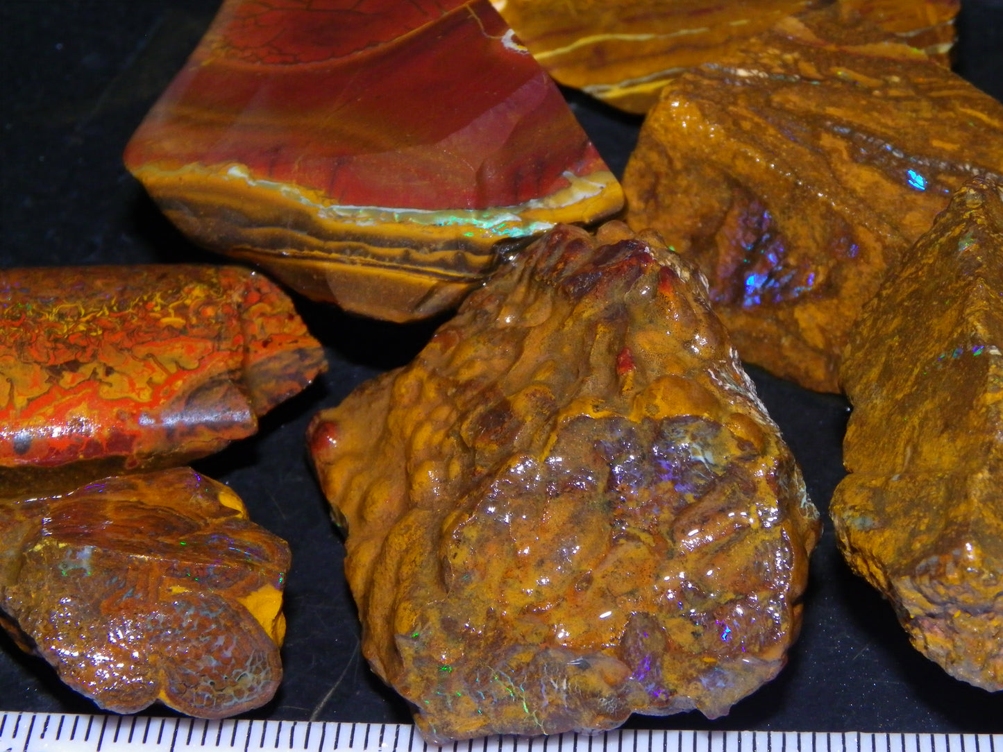 Nice Queensland Rough/Sliced Opal Parcel 1923cts Yowah/Koroit Nuts/Pattern Fires