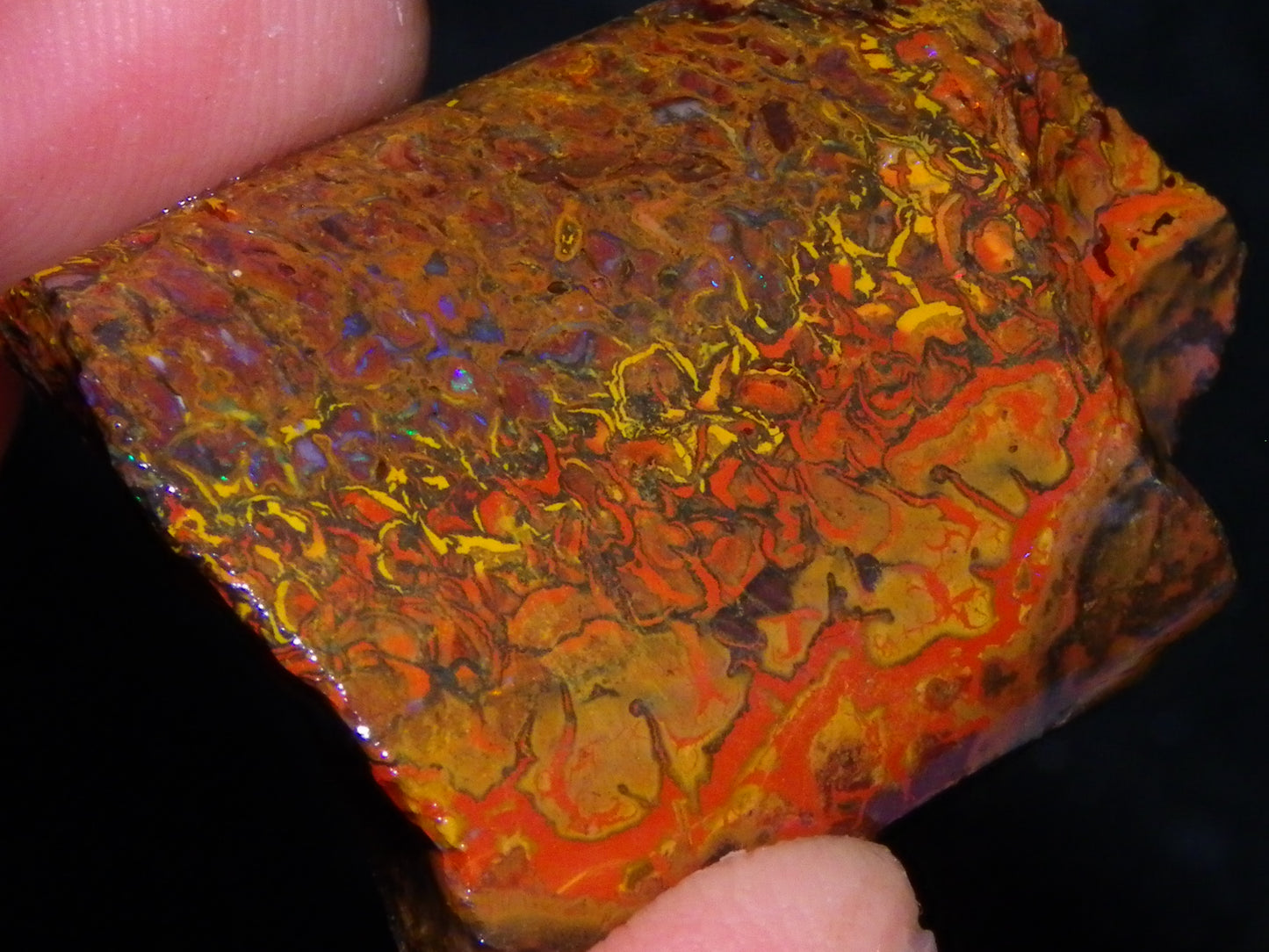 Nice Queensland Rough/Sliced Opal Parcel 1923cts Yowah/Koroit Nuts/Pattern Fires