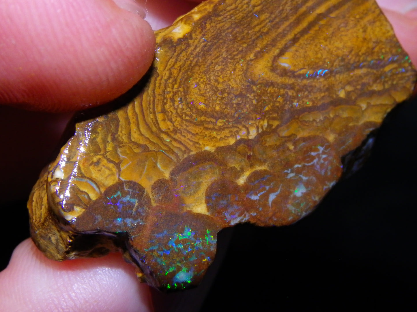 Nice Queensland Rough/Sliced Opal Parcel 1923cts Yowah/Koroit Nuts/Pattern Fires