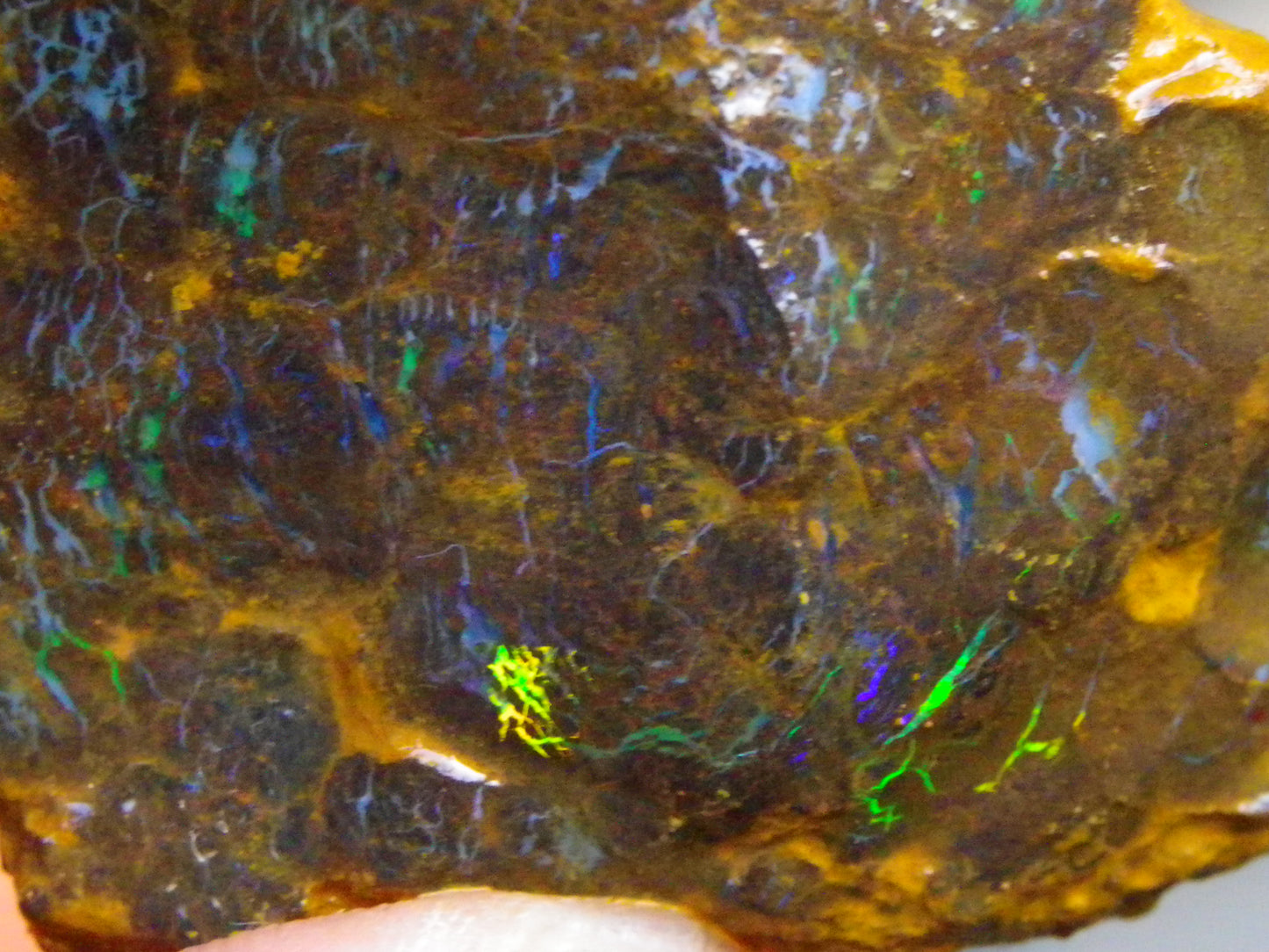 3 Nice Rough Matrix Opals 525.5cts Opalton Bright Green/Blue/Orange Fires