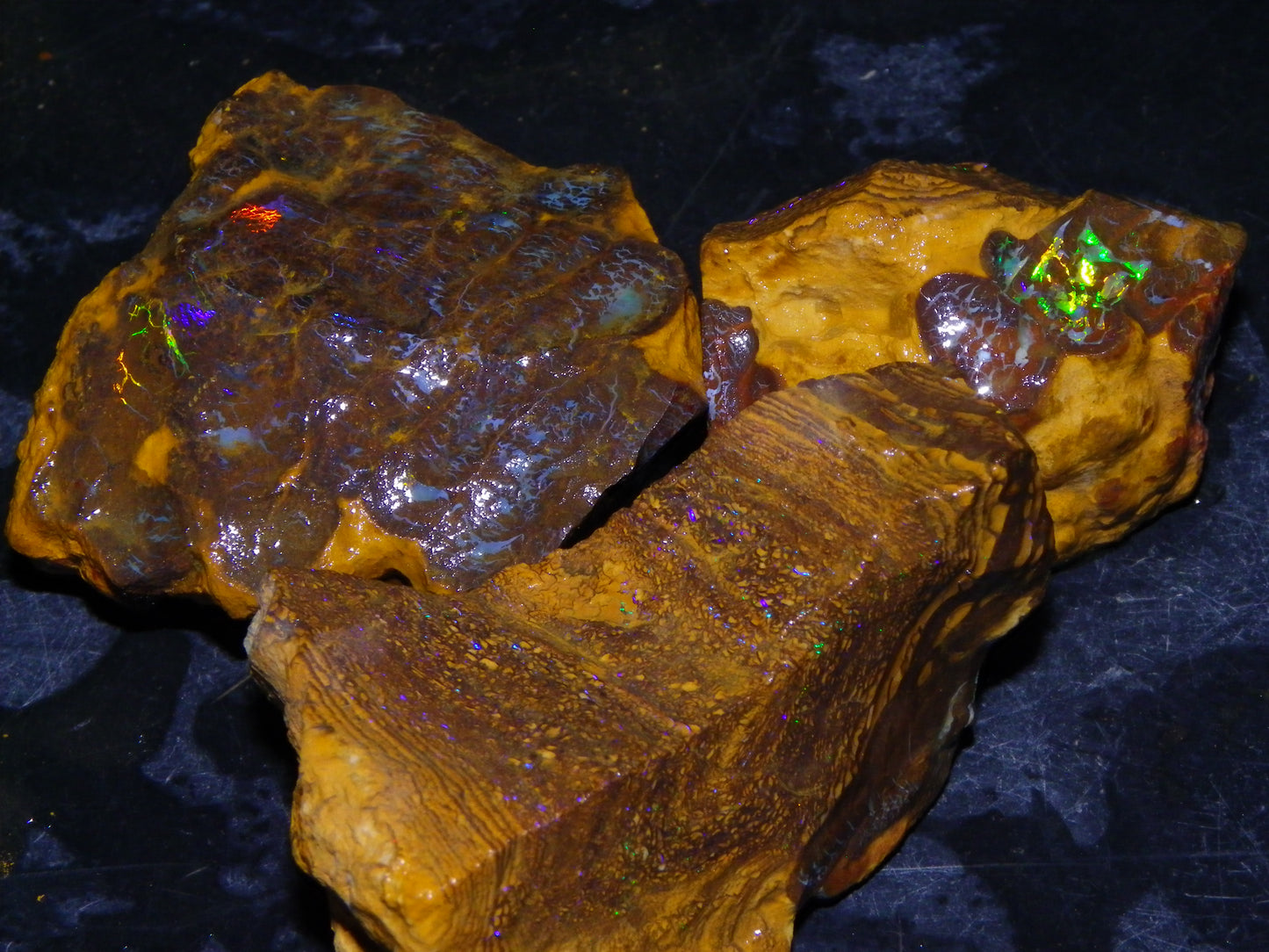 3 Nice Rough Matrix Opals 525.5cts Opalton Bright Green/Blue/Orange Fires