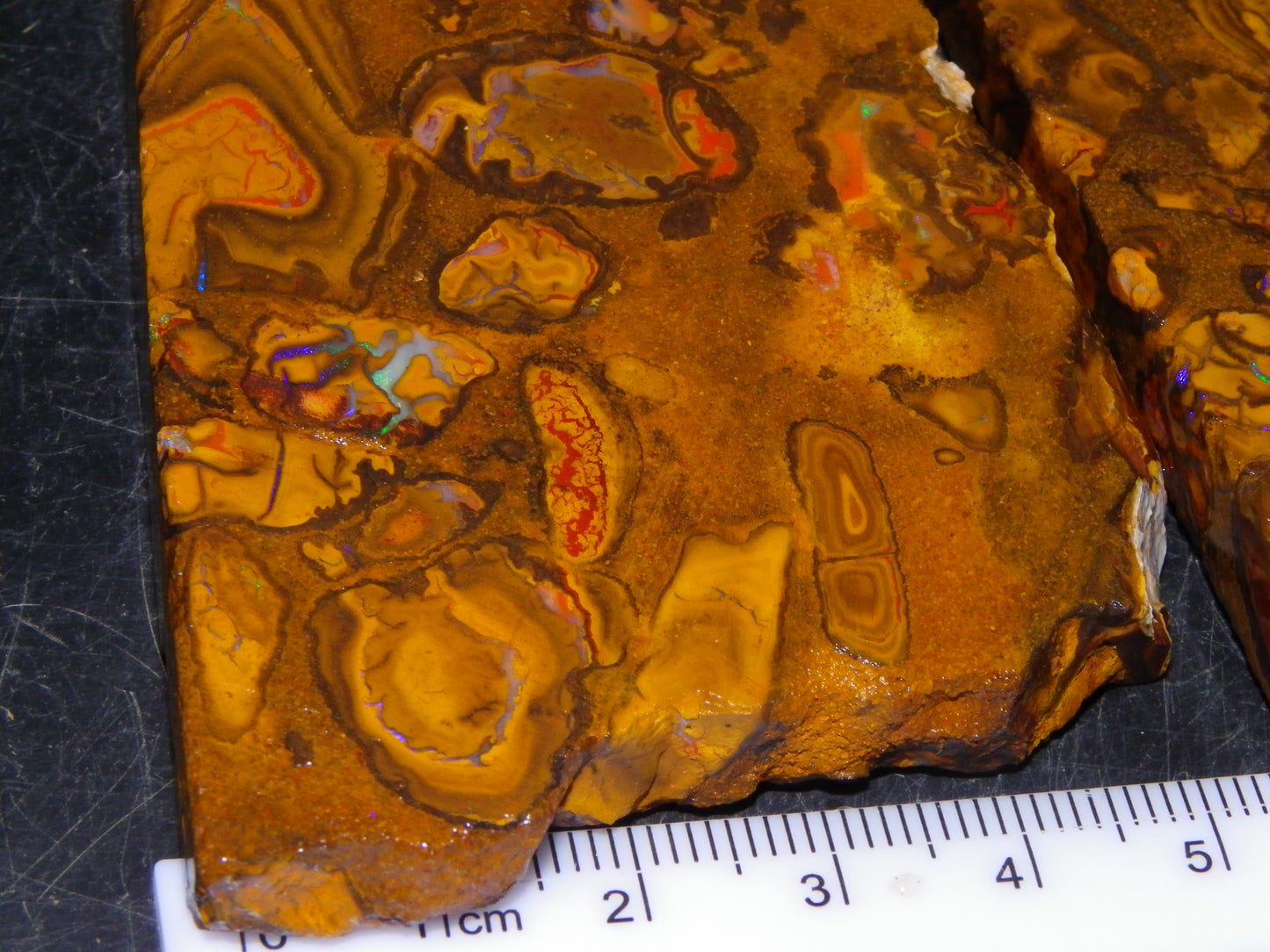 5 Matching Sliced/Rough Koroit Opals Set 2224cts Some Fires. Fossil/Pods Nuts