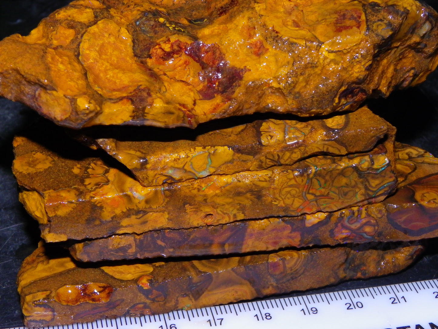 5 Matching Sliced/Rough Koroit Opals Set 2224cts Some Fires. Fossil/Pods Nuts