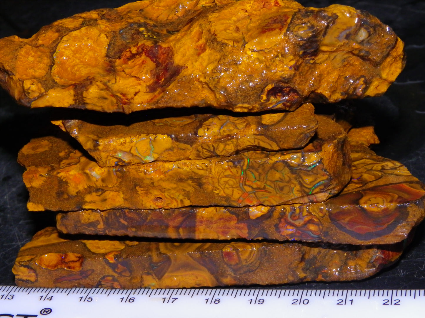 5 Matching Sliced/Rough Koroit Opals Set 2224cts Some Fires. Fossil/Pods Nuts