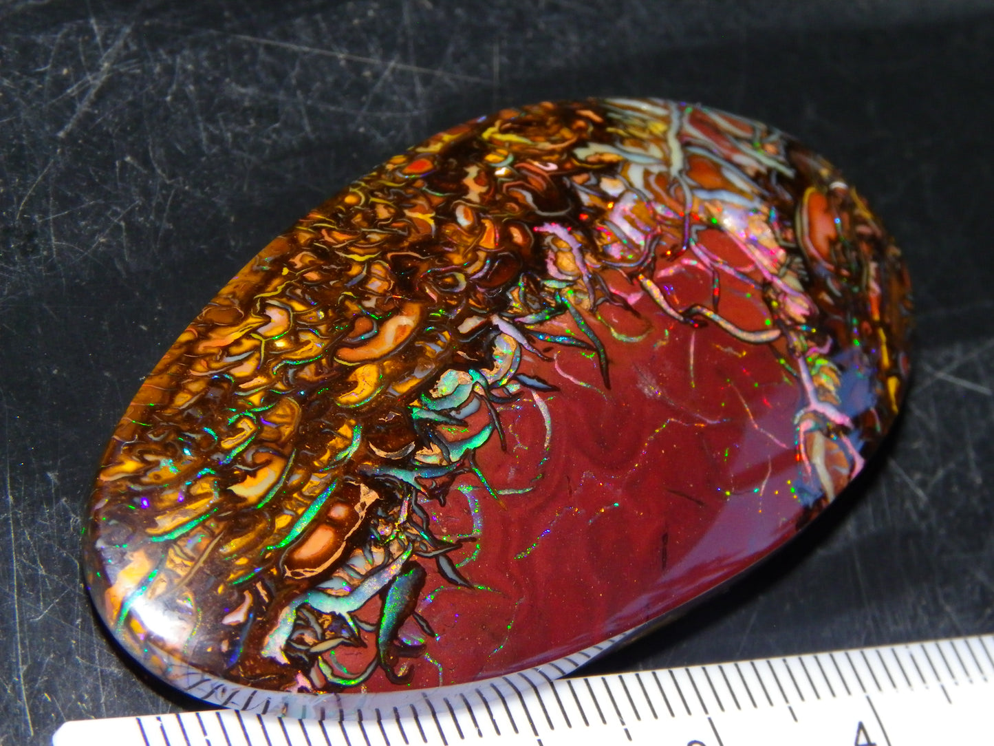 Quality Large Cut/Polished Koroit Opal Cab/Freeform 115.36cts Multicolour Fires and Veins