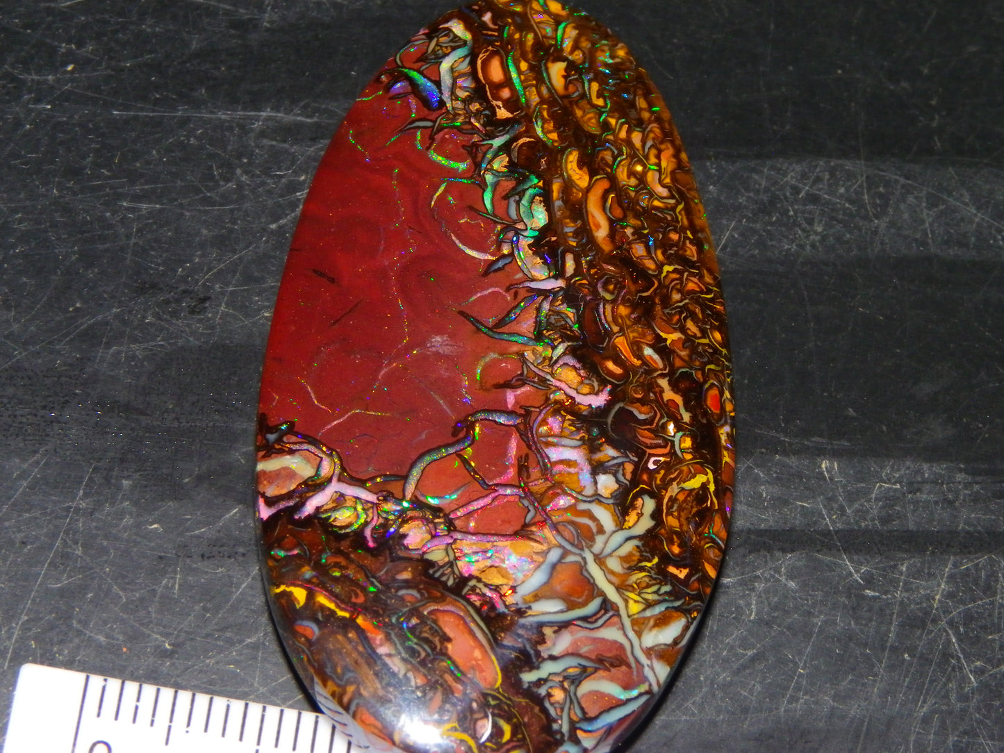 Quality Large Cut/Polished Koroit Opal Cab/Freeform 115.36cts Multicolour Fires and Veins