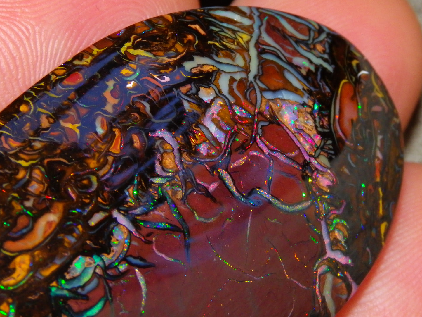 Quality Large Cut/Polished Koroit Opal Cab/Freeform 115.36cts Multicolour Fires and Veins