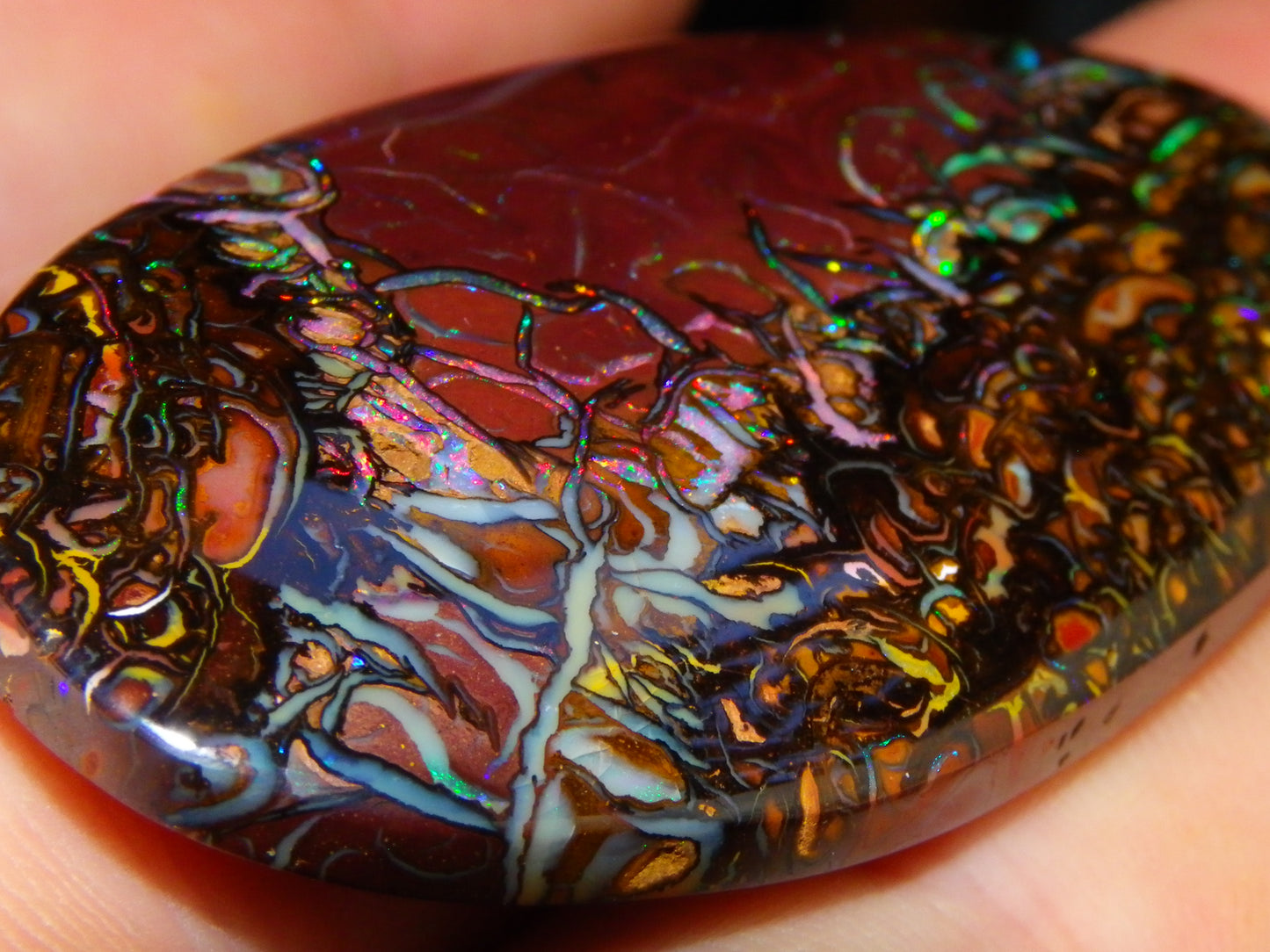 Quality Large Cut/Polished Koroit Opal Cab/Freeform 115.36cts Multicolour Fires and Veins