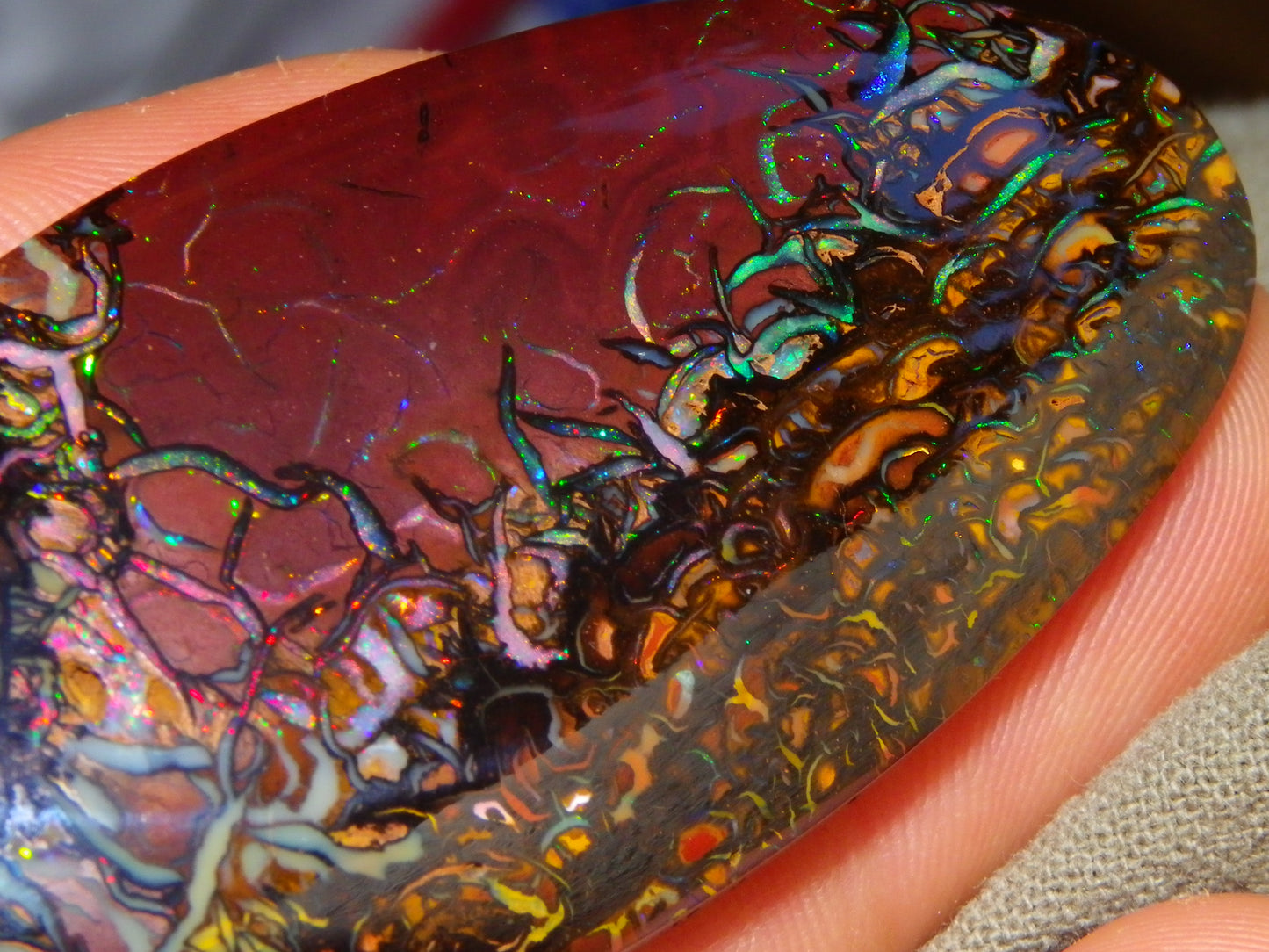 Quality Large Cut/Polished Koroit Opal Cab/Freeform 115.36cts Multicolour Fires and Veins
