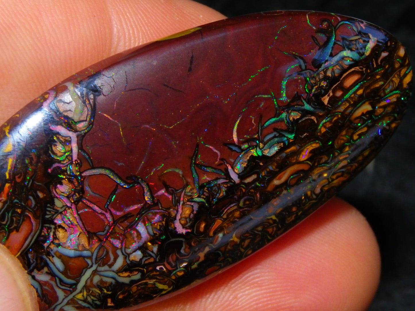 Quality Large Cut/Polished Koroit Opal Cab/Freeform 115.36cts Multicolour Fires and Veins