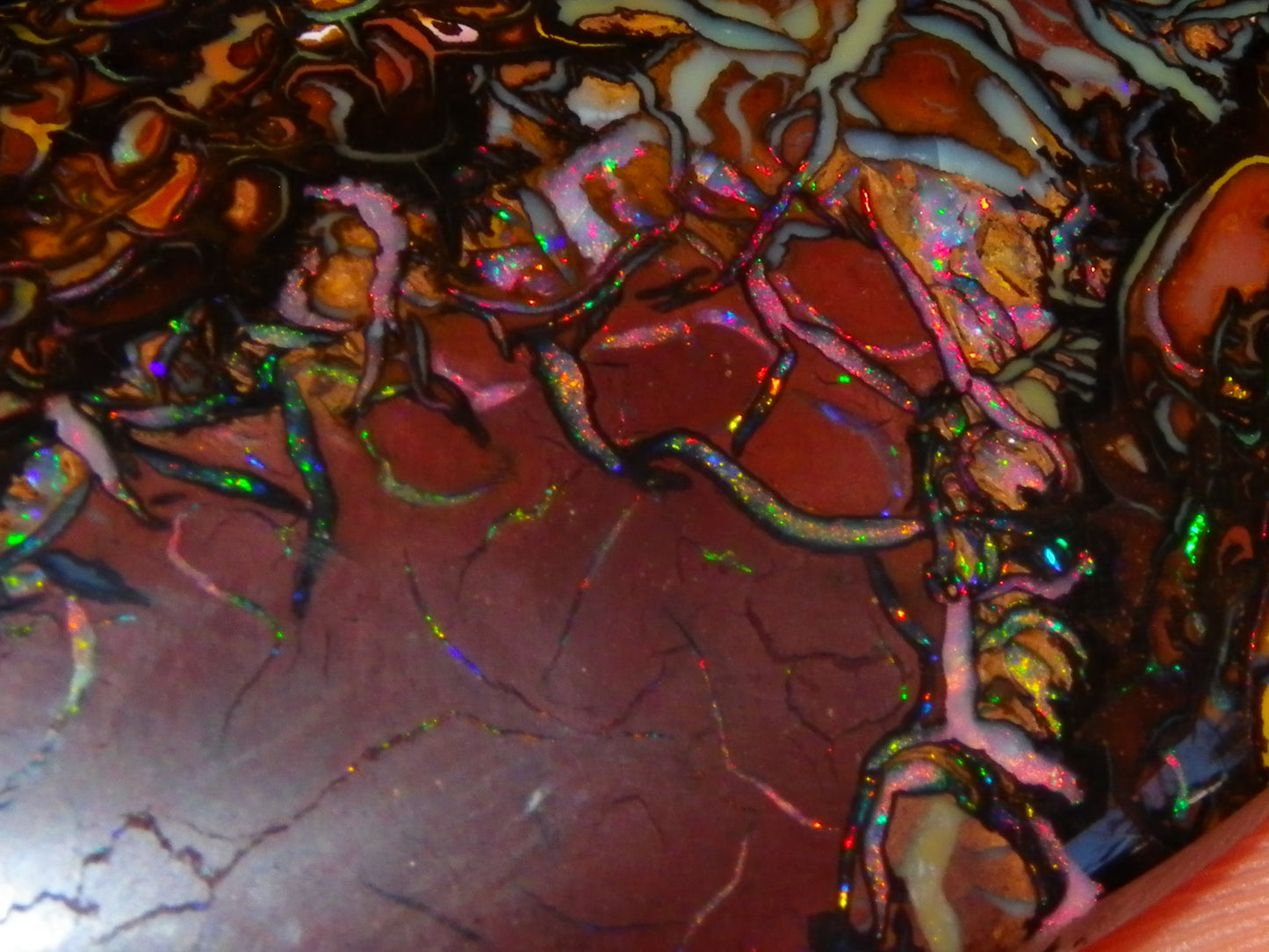 Quality Large Cut/Polished Koroit Opal Cab/Freeform 115.36cts Multicolour Fires and Veins