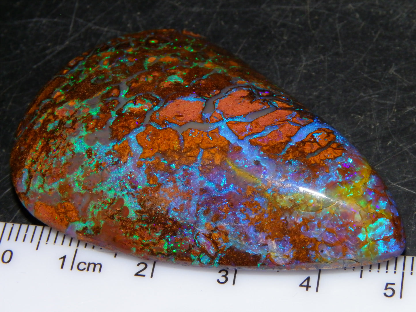 Large Koroit Opal Freeform/Cab 116.3cts Blue/Purple/Green Fires/Veins Queensland Australia