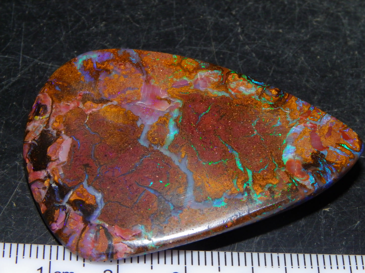 Large Koroit Opal Freeform/Cab 116.3cts Blue/Purple/Green Fires/Veins Queensland Australia